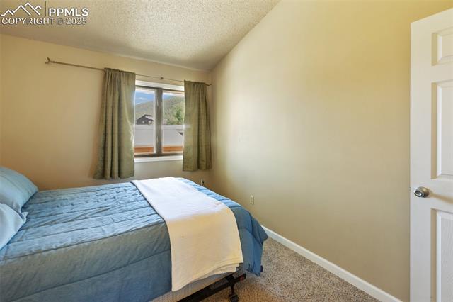 MLS Image for 401  Forest Edge  B2 ,Woodland Park, Colorado