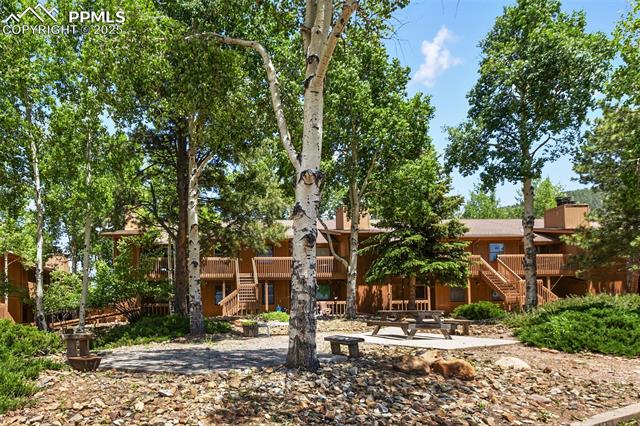 MLS Image for 401  Forest Edge  B2 ,Woodland Park, Colorado