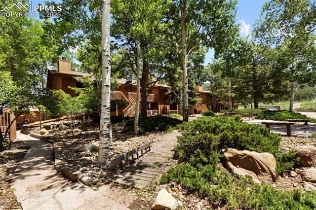 MLS Image for 401  Forest Edge  B2 ,Woodland Park, Colorado