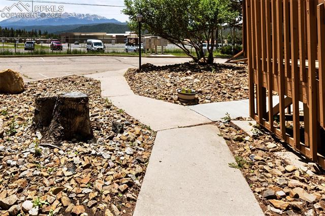 MLS Image for 401  Forest Edge  B2 ,Woodland Park, Colorado