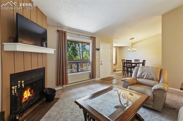 MLS Image for 401  Forest Edge  B2 ,Woodland Park, Colorado
