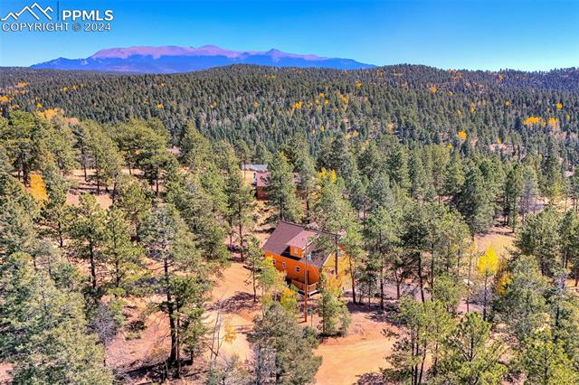 MLS Image for 18  Garnet  ,Florissant, Colorado