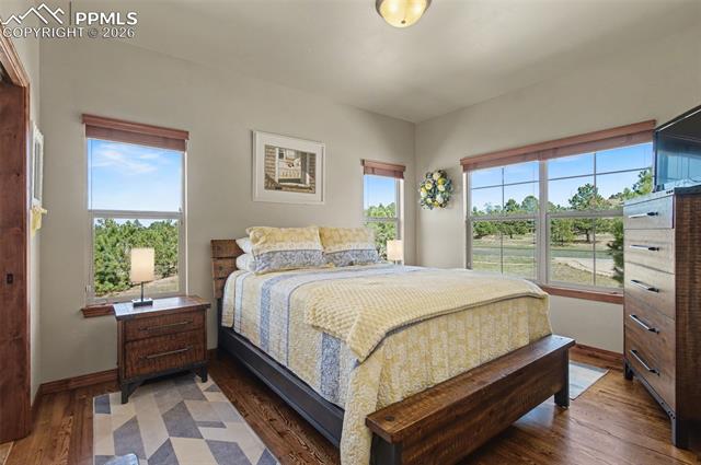 MLS Image for 16242  Timber Meadow  ,Colorado Springs, Colorado