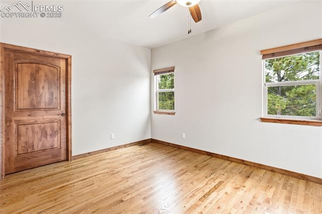 MLS Image for 16242  Timber Meadow  ,Colorado Springs, Colorado