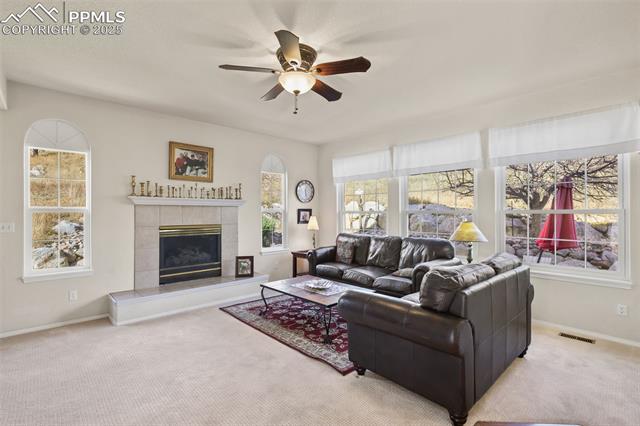 MLS Image for 260  HAVERSHAM  ,Colorado Springs, Colorado