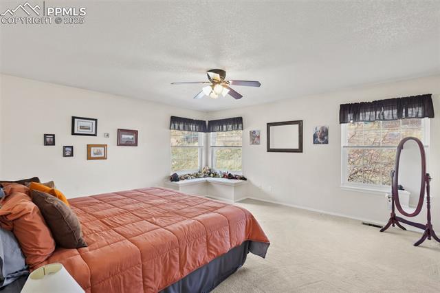 MLS Image for 260  HAVERSHAM  ,Colorado Springs, Colorado