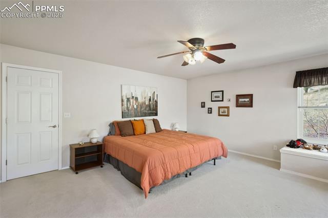 MLS Image for 260  HAVERSHAM  ,Colorado Springs, Colorado