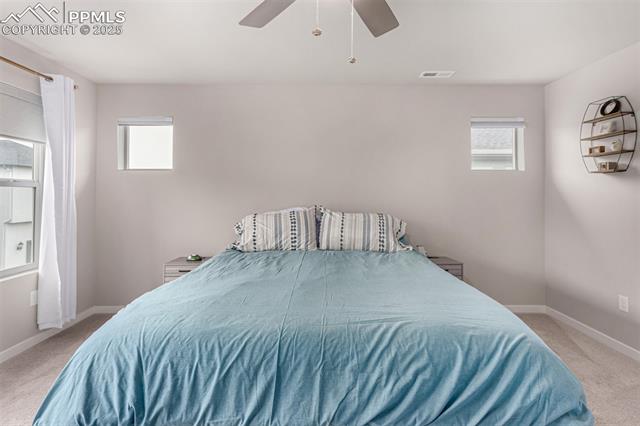 MLS Image for 6358  Levity  ,Colorado Springs, Colorado