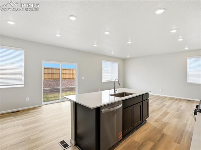 MLS Image for 11385  Pikeminnow  ,Colorado Springs, Colorado
