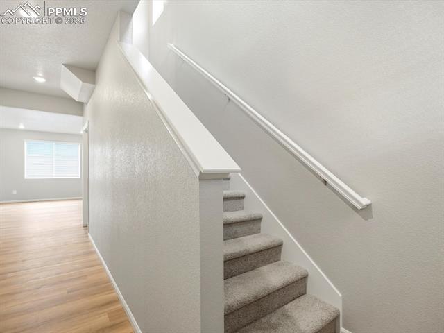 MLS Image for 11385  Pikeminnow  ,Colorado Springs, Colorado