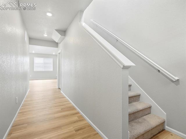 MLS Image for 11385  Pikeminnow  ,Colorado Springs, Colorado