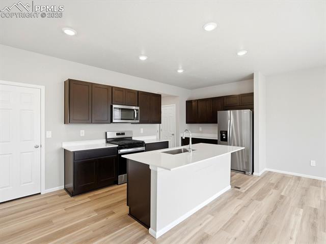 MLS Image for 11385  Pikeminnow  ,Colorado Springs, Colorado