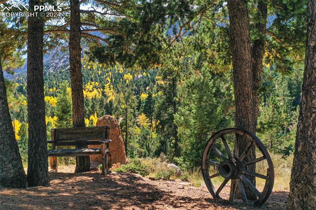 MLS Image for 6065  Waterfall  ,Manitou Springs, Colorado