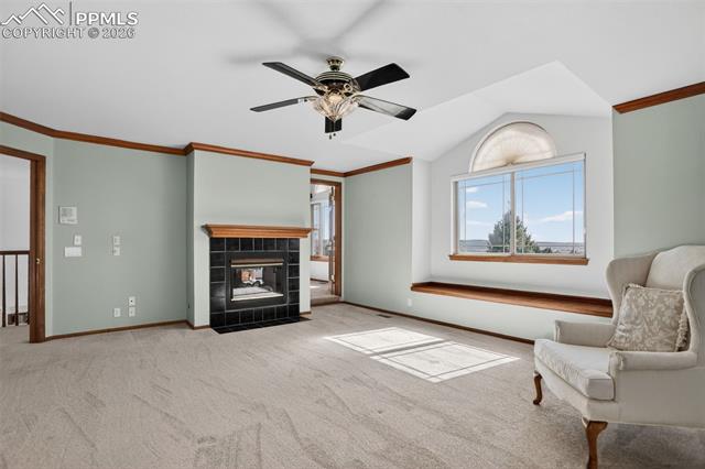 MLS Image for 8370  Bluffview  ,Colorado Springs, Colorado