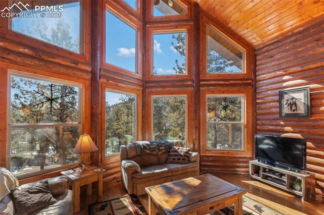 MLS Image for 10448  County Road 1  ,Florissant, Colorado