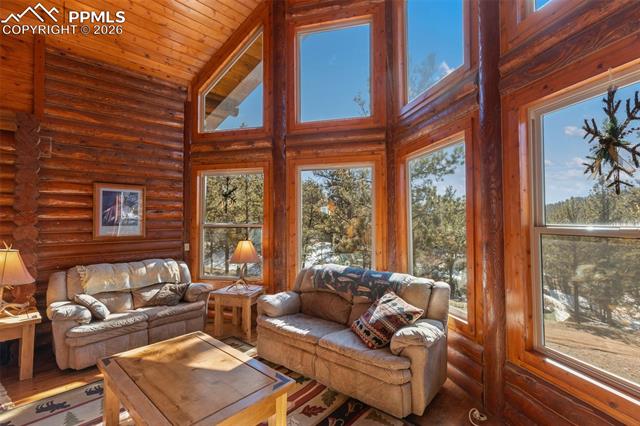 MLS Image for 10448  County Road 1  ,Florissant, Colorado
