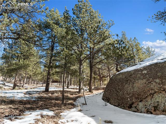 MLS Image for 10448  County Road 1  ,Florissant, Colorado