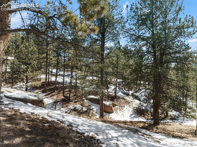 MLS Image for 10448  County Road 1  ,Florissant, Colorado