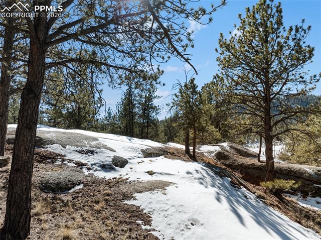 MLS Image for 10448  County Road 1  ,Florissant, Colorado
