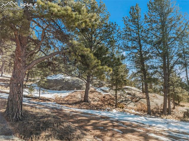 MLS Image for 10448  County Road 1  ,Florissant, Colorado
