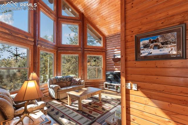 MLS Image for 10448  County Road 1  ,Florissant, Colorado