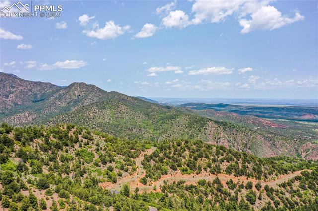 MLS Image for 3760  Big Spruce  ,Colorado Springs, Colorado