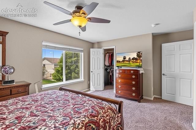 MLS Image for 8020  Firecracker  ,Colorado Springs, Colorado