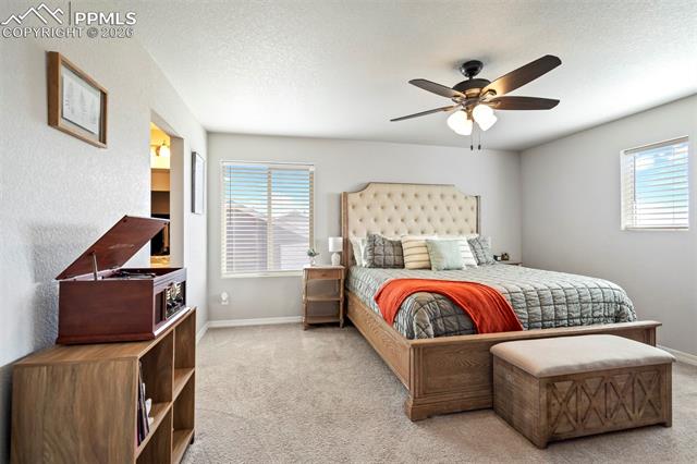 MLS Image for 6015  Yamhill  ,Colorado Springs, Colorado