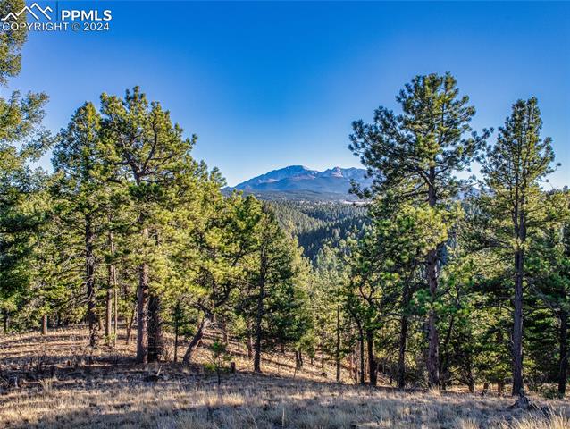 MLS Image for 916  Pinecrest  ,Woodland Park, Colorado