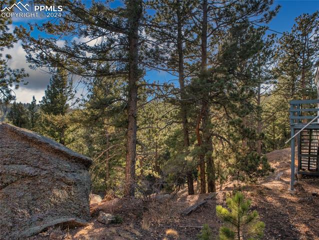 MLS Image for 916  Pinecrest  ,Woodland Park, Colorado