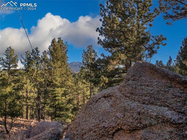 MLS Image for 916  Pinecrest  ,Woodland Park, Colorado