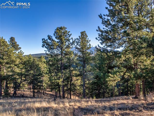 MLS Image for 916  Pinecrest  ,Woodland Park, Colorado