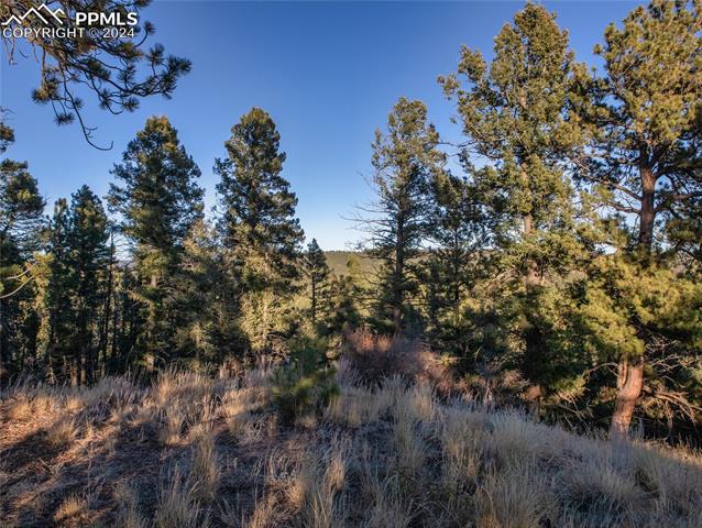 MLS Image for 916  Pinecrest  ,Woodland Park, Colorado