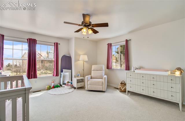 MLS Image for 450  Paisley  ,Colorado Springs, Colorado