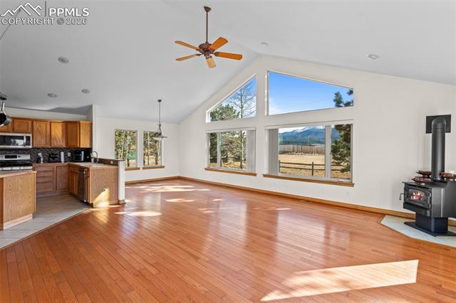 MLS Image for 162  Ridge Top  ,Divide, Colorado