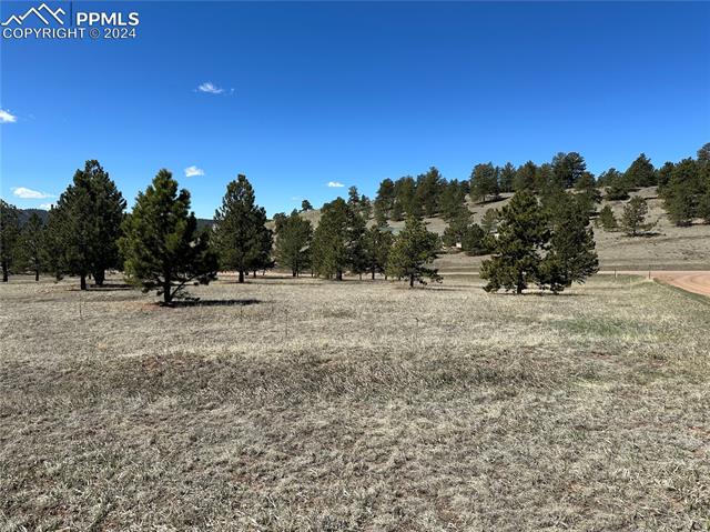 MLS Image for 20  Apache  ,Florissant, Colorado