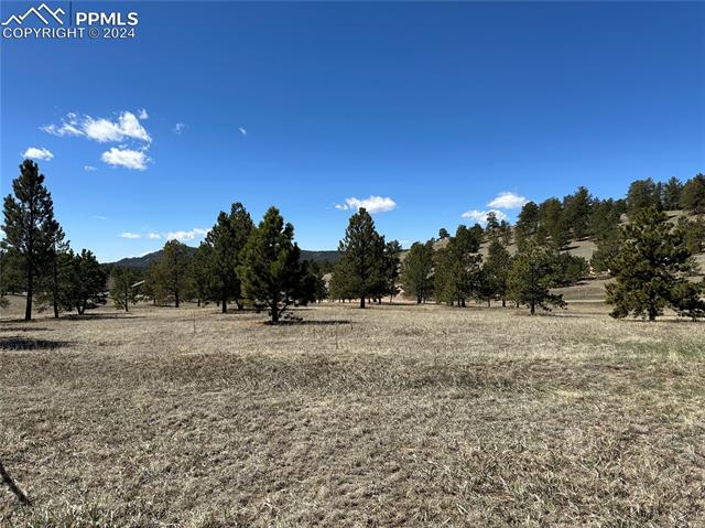 MLS Image for 20  Apache  ,Florissant, Colorado