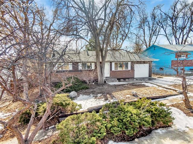 MLS Image for 3665  Temple  ,Colorado Springs, Colorado