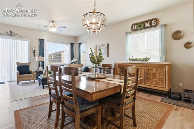 MLS Image for 7095  Fauna Glen  ,Colorado Springs, Colorado