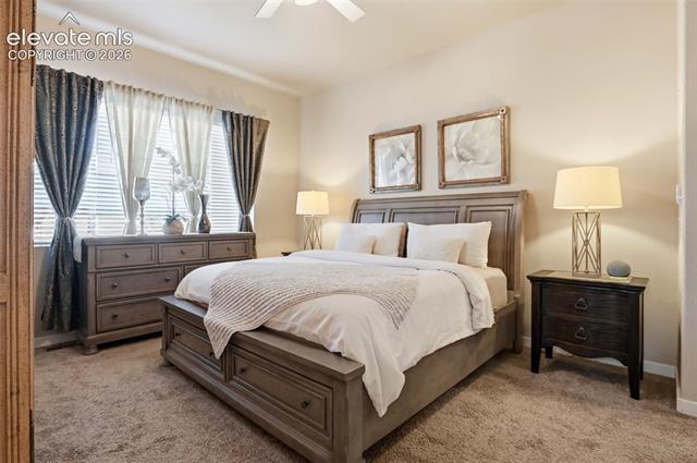 MLS Image for 7095  Fauna Glen  ,Colorado Springs, Colorado