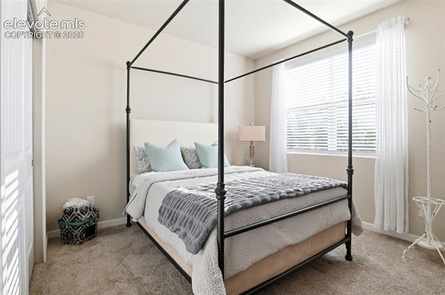 MLS Image for 7095  Fauna Glen  ,Colorado Springs, Colorado