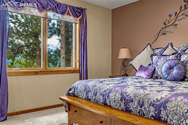 MLS Image for 791  Skyline  ,Woodland Park, Colorado