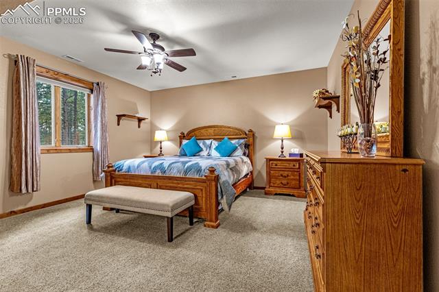 MLS Image for 791  Skyline  ,Woodland Park, Colorado