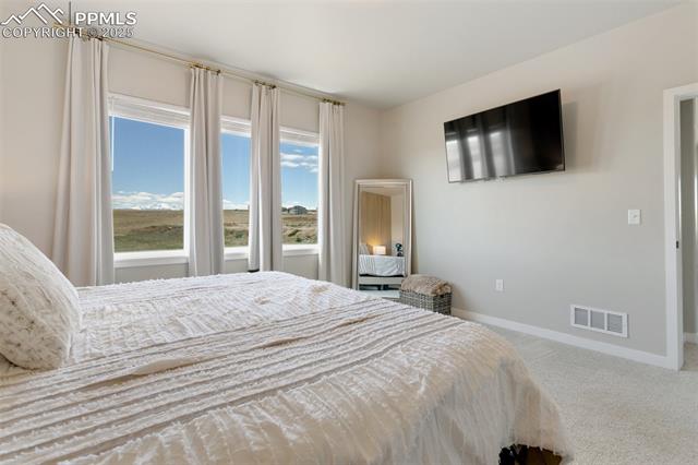 MLS Image for 7251  Benito Wells  ,Peyton, Colorado