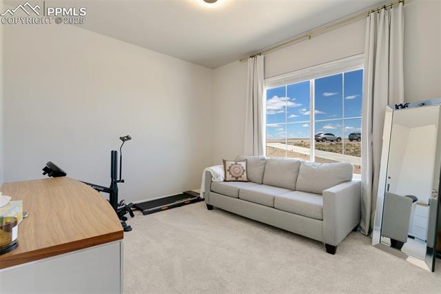 MLS Image for 7251  Benito Wells  ,Peyton, Colorado