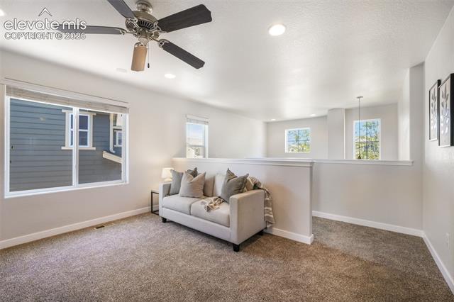 MLS Image for 11674  Wildwood Ridge  ,Colorado Springs, Colorado