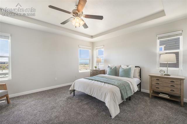 MLS Image for 11674  Wildwood Ridge  ,Colorado Springs, Colorado