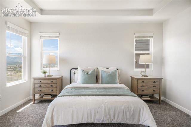 MLS Image for 11674  Wildwood Ridge  ,Colorado Springs, Colorado