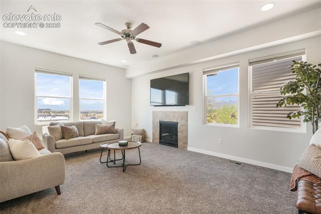 MLS Image for 11674  Wildwood Ridge  ,Colorado Springs, Colorado