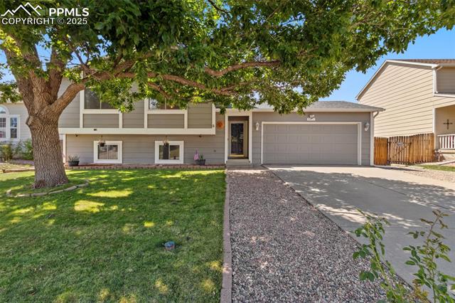 891  Daffodil  , fountain  House Search MLS Picture